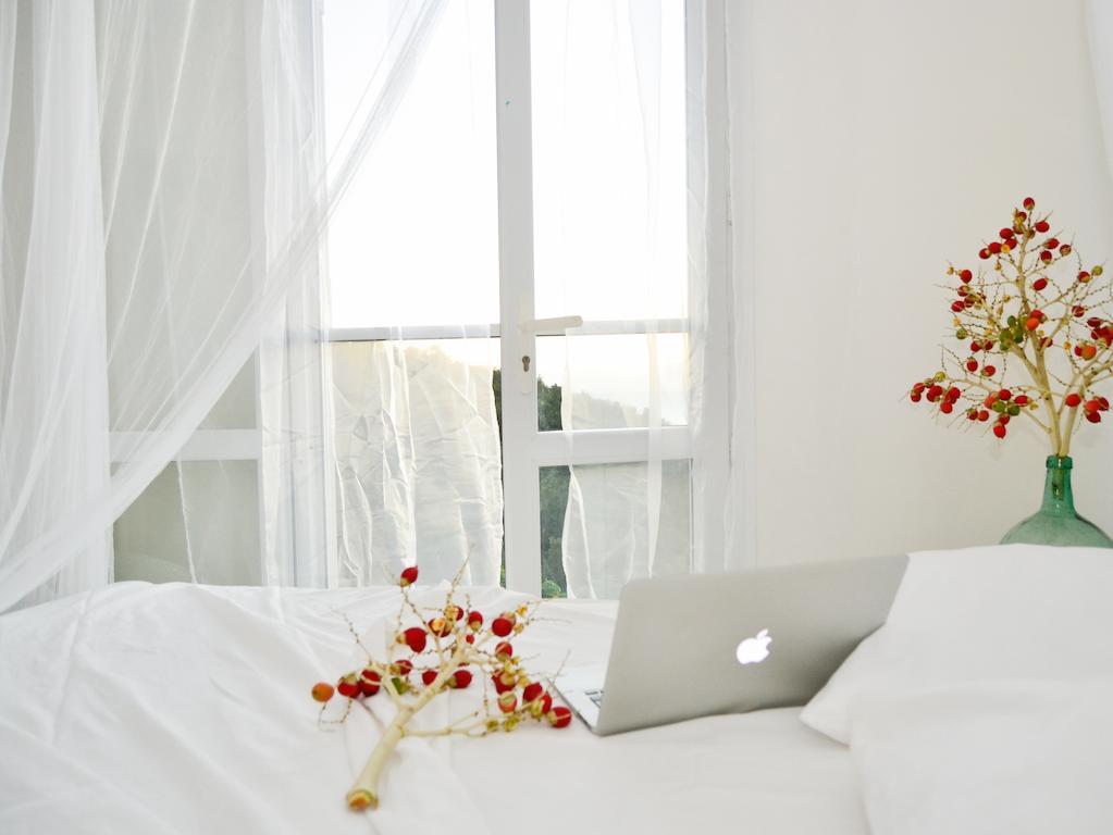 Couette-café Harmonie Creole 3*
